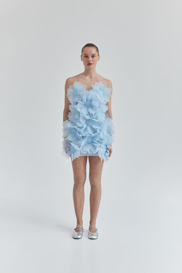 Peony Passion Dress in crisp blue