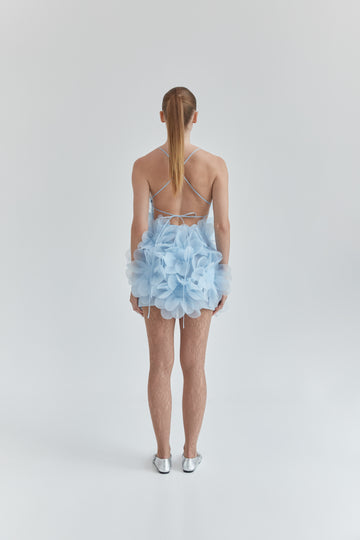 Peony Passion Dress in crisp blue