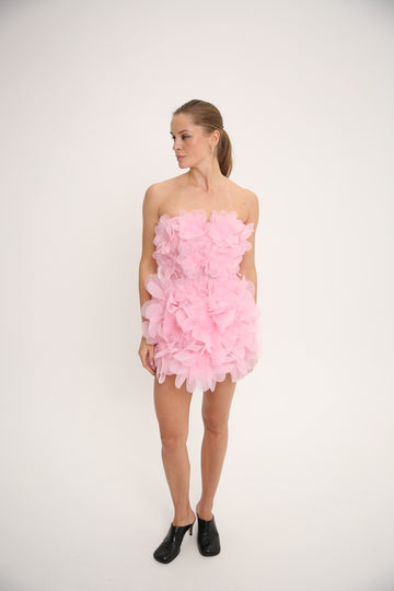 Corset Peony Dress in Light Pink