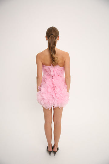 Corset Peony Dress in Light Pink