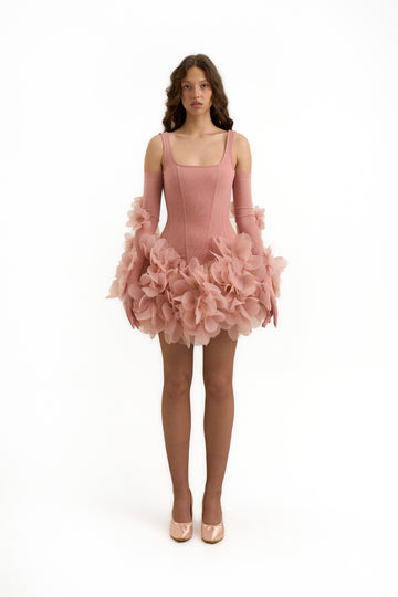 Alice Mini Dress in Blush Nude