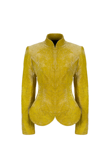 Оксамитовий жакет Jasmine