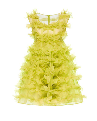 Lola dress in lime