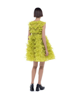 Lola dress in lime