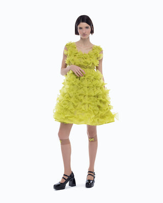 Lola dress in lime