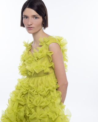 Lola dress in lime